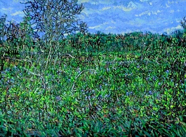 Wild Iris Marsh Muskoka